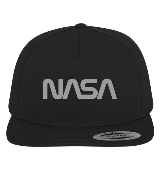 NASA Grey Stroke Snapback